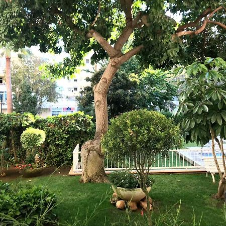 Apartamento Euromar 2 Playa Fontanilla マルベーリャ エクステリア 写真